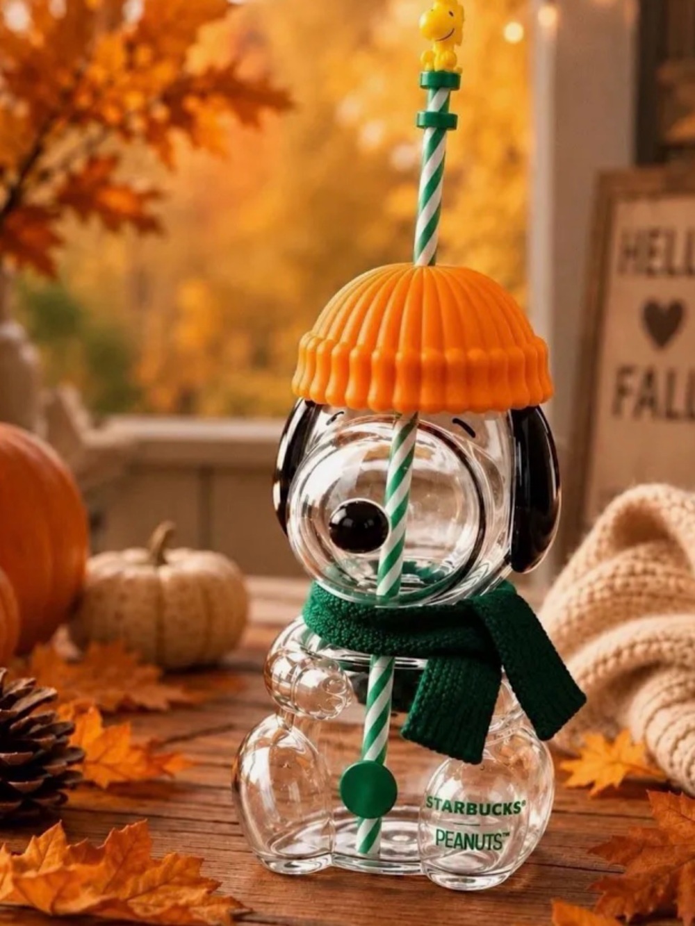 Starbucks Peanuts Snoopy Tumbler with Orange Hat and Green Scarf